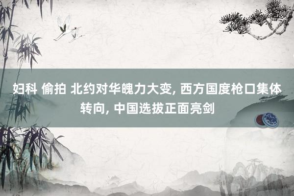 妇科 偷拍 北约对华魄力大变， 西方国度枪口集体转向， 中国选拔正面亮剑