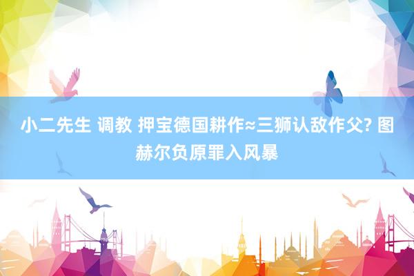 小二先生 调教 押宝德国耕作≈三狮认敌作父? 图赫尔负原罪入风暴